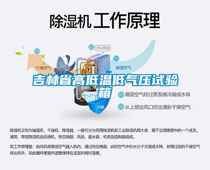 吉林省高低溫低氣壓試驗(yàn)箱