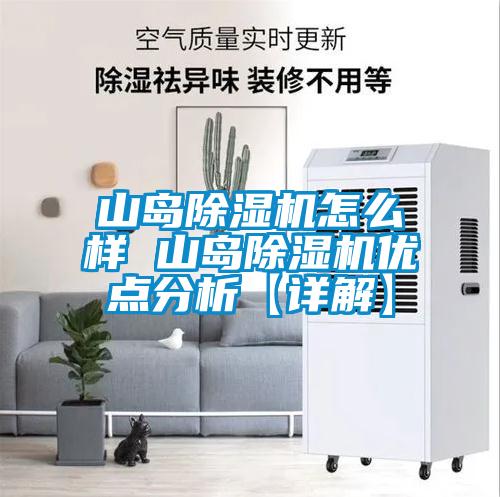 山島除濕機怎么樣 山島除濕機優(yōu)點(diǎn)分析【詳解】