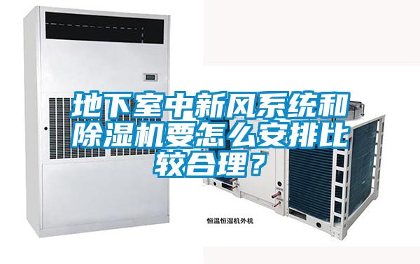 地下室中新風(fēng)系統和除濕機要怎么安排比較合理？