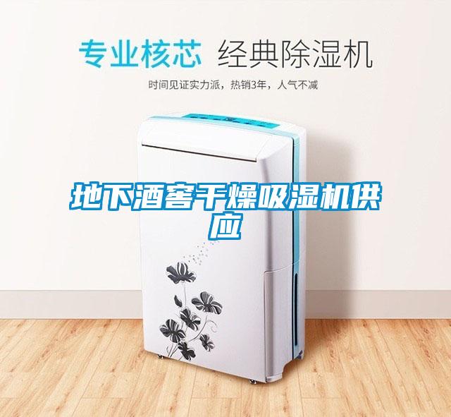 地下酒窖干燥吸濕機供應