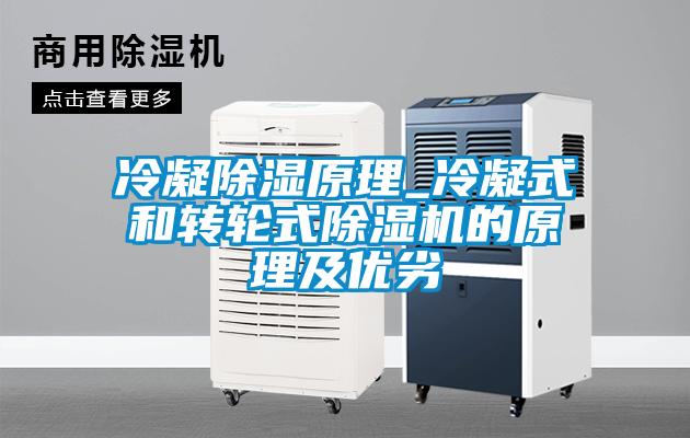 冷凝除濕原理_冷凝式和轉(zhuǎn)輪式除濕機的原理及優(yōu)劣