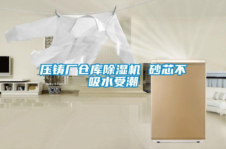 壓鑄廠(chǎng)倉庫除濕機 砂芯不吸水受潮