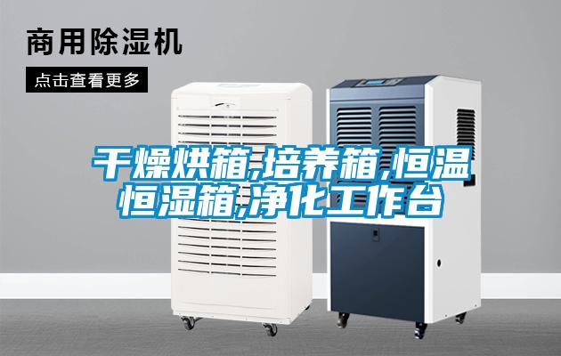 干燥烘箱,培養箱,恒溫恒濕箱,凈化工作臺