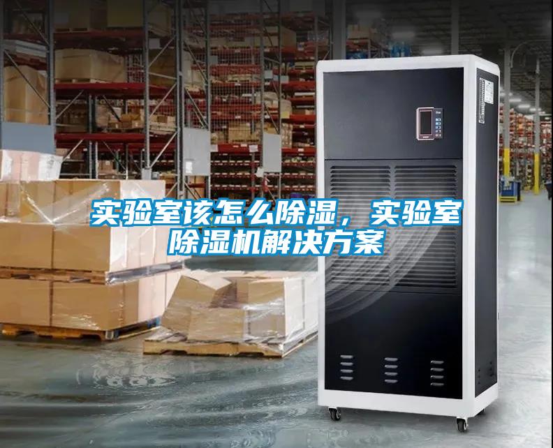 實驗室該怎么除濕，實驗室除濕機解決方案
