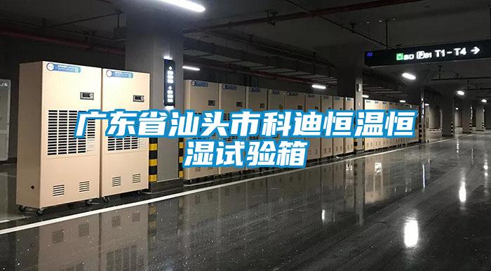 廣東省汕頭市科迪恒溫恒濕試驗箱