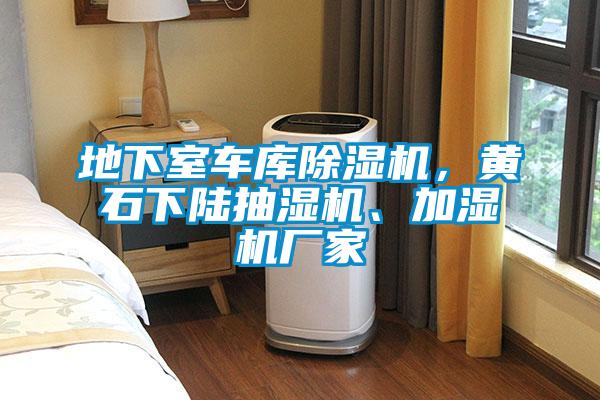 地下室車庫(kù)除濕機(jī)，黃石下陸抽濕機(jī)、加濕機(jī)廠家