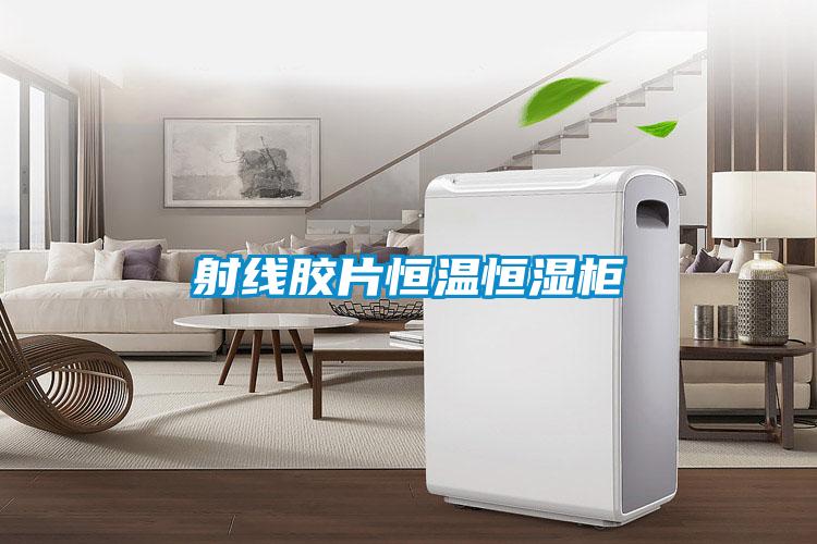 射線(xiàn)膠片恒溫恒濕柜