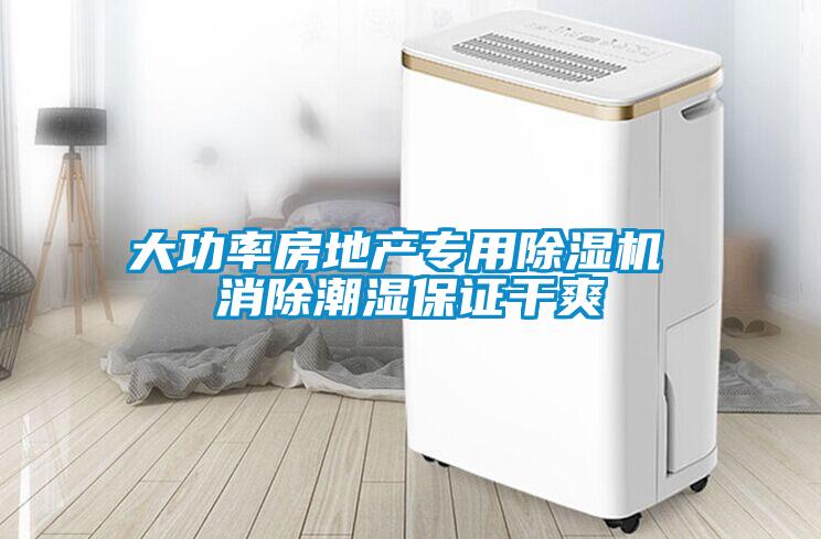 大功率房地產專用除濕機 消除潮濕保證干爽
