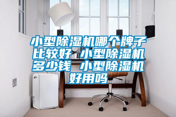 小型除濕機哪個牌子比較好 小型除濕機多少錢 小型除濕機好用嗎