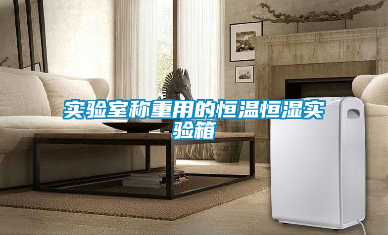 實(shí)驗室稱(chēng)重用的恒溫恒濕實(shí)驗箱