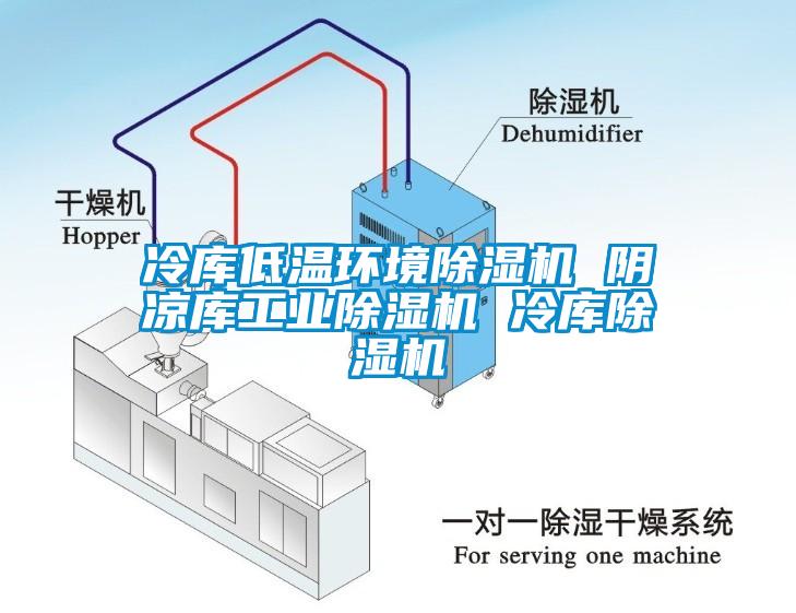 冷庫低溫環(huán)境除濕機 陰涼庫工業(yè)除濕機 冷庫除濕機