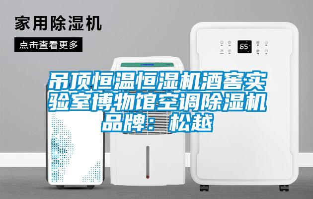 吊頂恒溫恒濕機酒窖實(shí)驗室博物館空調除濕機品牌：松越