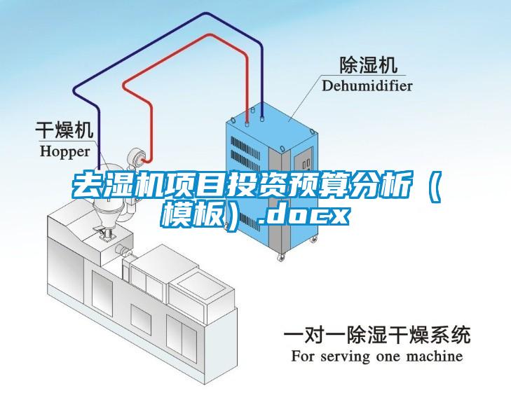去濕機項目投資預算分析（模板）.docx