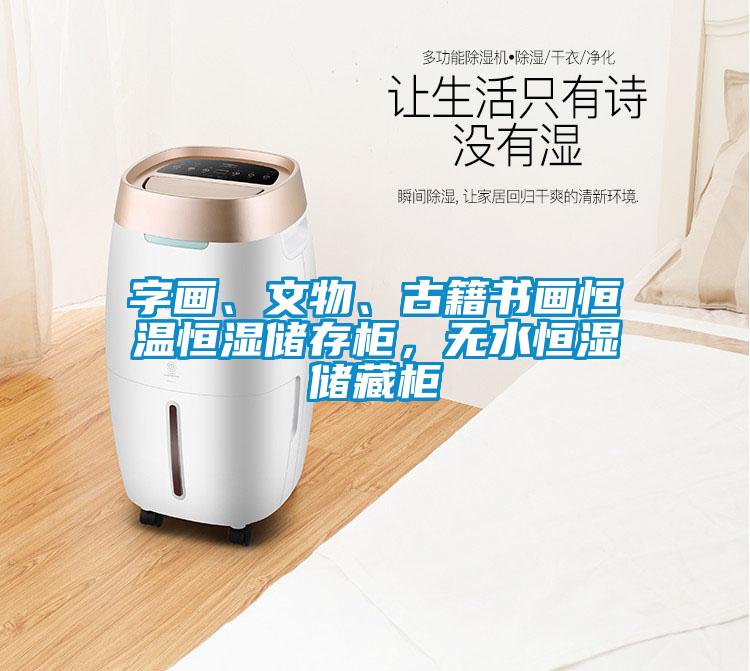 字畫(huà)、文物、古籍書(shū)畫(huà)恒溫恒濕儲存柜，無(wú)水恒濕儲藏柜