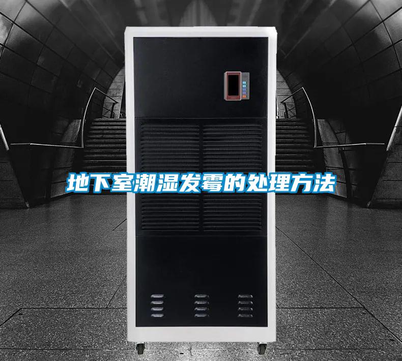 地下室潮濕發(fā)霉的處理方法