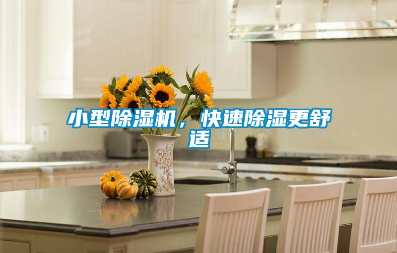 小型除濕機，快速除濕更舒適