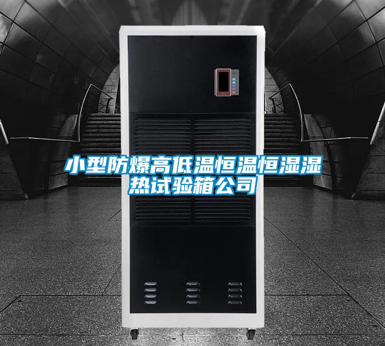 小型防爆高低溫恒溫恒濕濕熱試驗(yàn)箱公司