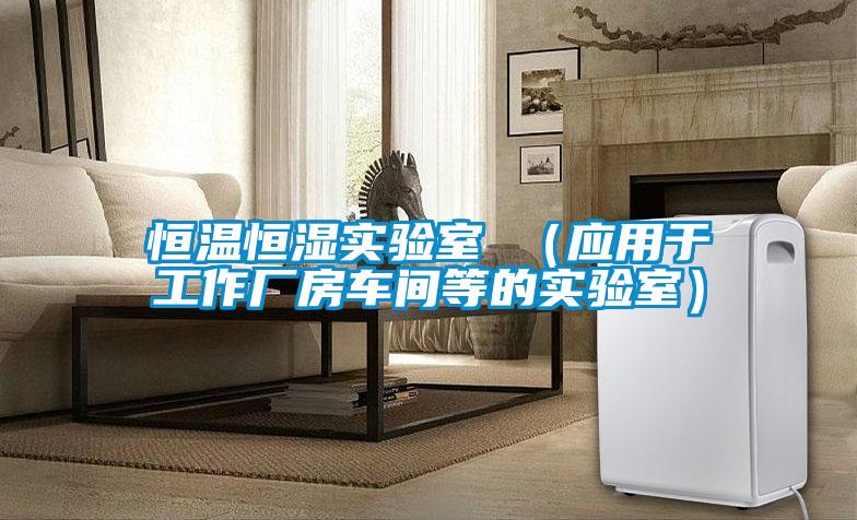 恒溫恒濕實(shí)驗室 （應用于工作廠(chǎng)房車(chē)間等的實(shí)驗室）