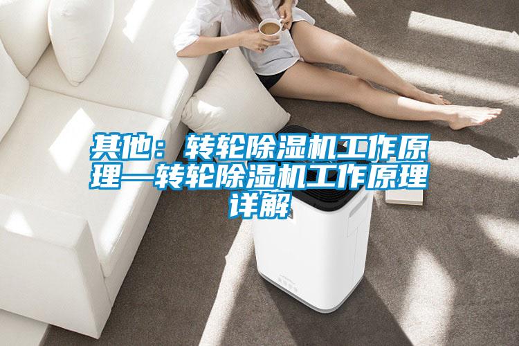 其他：轉輪除濕機工作原理—轉輪除濕機工作原理詳解