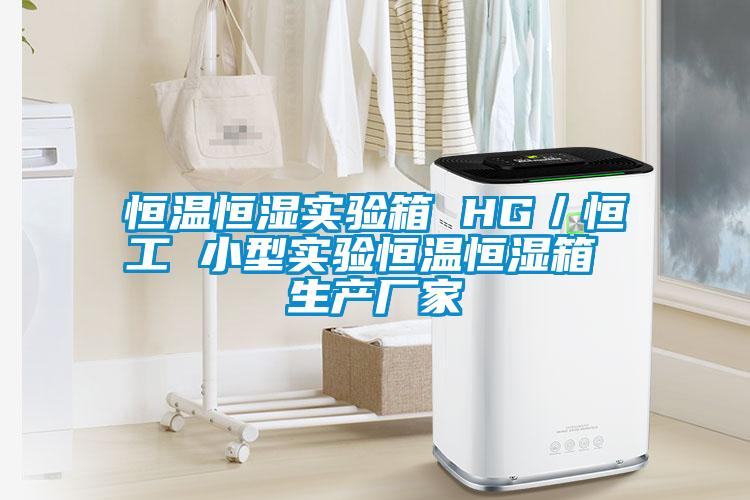 恒溫恒濕實驗箱 HG／恒工 小型實驗恒溫恒濕箱 生產(chǎn)廠家