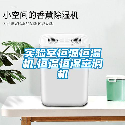 實(shí)驗室恒溫恒濕機,恒溫恒濕空調機