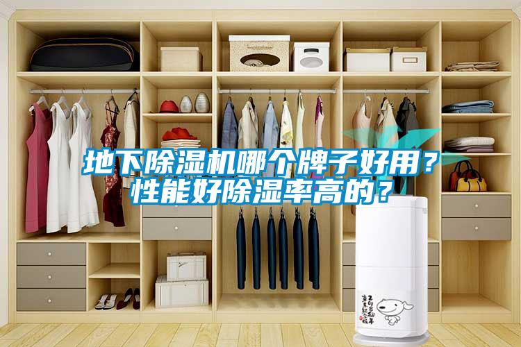 地下除濕機哪個牌子好用？性能好除濕率高的？