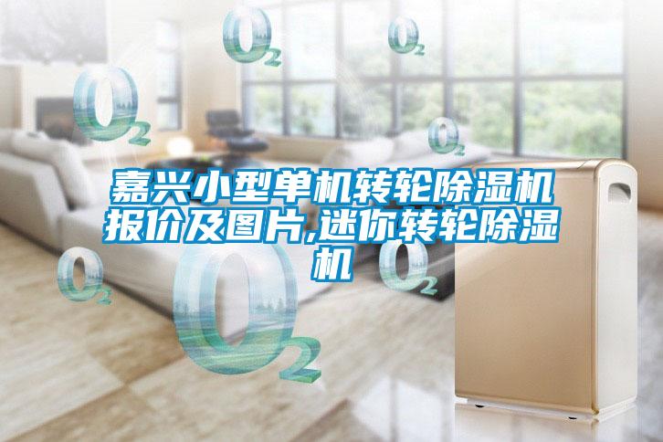 嘉興小型單機轉輪除濕機報價(jià)及圖片,迷你轉輪除濕機