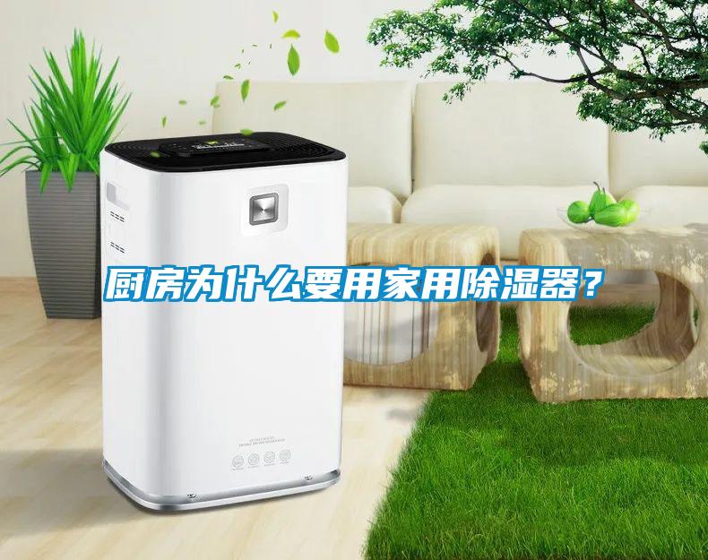 廚房為什么要用家用除濕器？