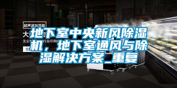 地下室中央新風(fēng)除濕機(jī)，地下室通風(fēng)與除濕解決方案_重復(fù)