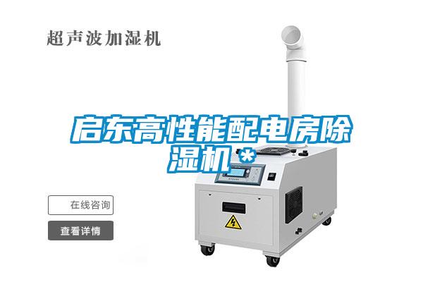 啟東高性能配電房除濕機＊