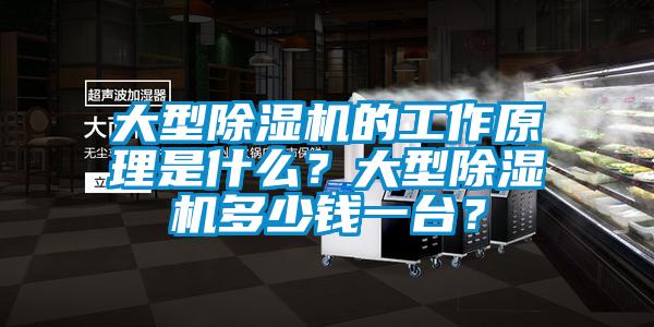 大型除濕機(jī)的工作原理是什么？大型除濕機(jī)多少錢(qián)一臺(tái)？