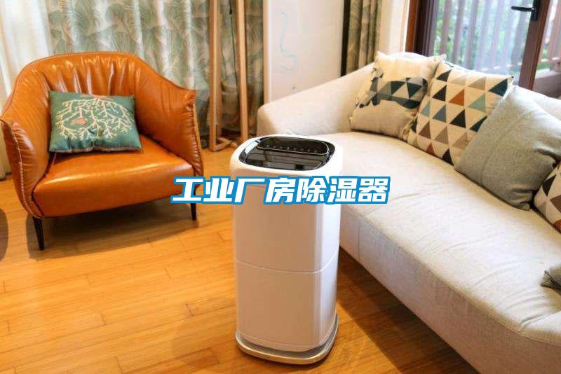 工業(yè)廠(chǎng)房除濕器