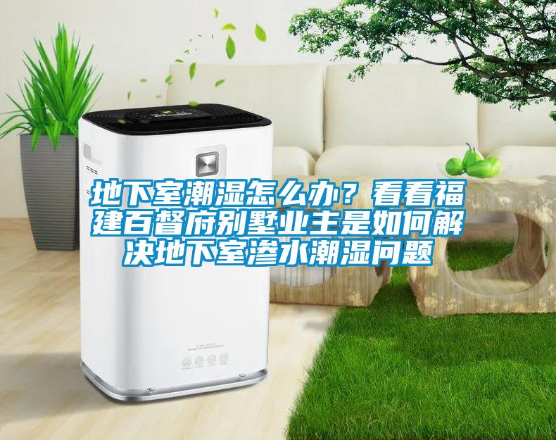 地下室潮濕怎么辦？看看福建百督府別墅業(yè)主是如何解決地下室滲水潮濕問題
