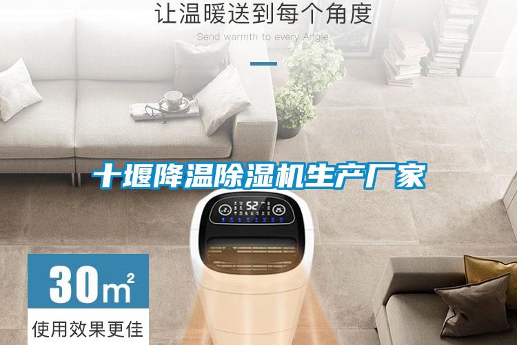 十堰降溫除濕機生產(chǎn)廠(chǎng)家