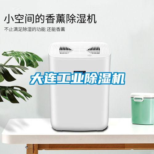 大連工業(yè)除濕機