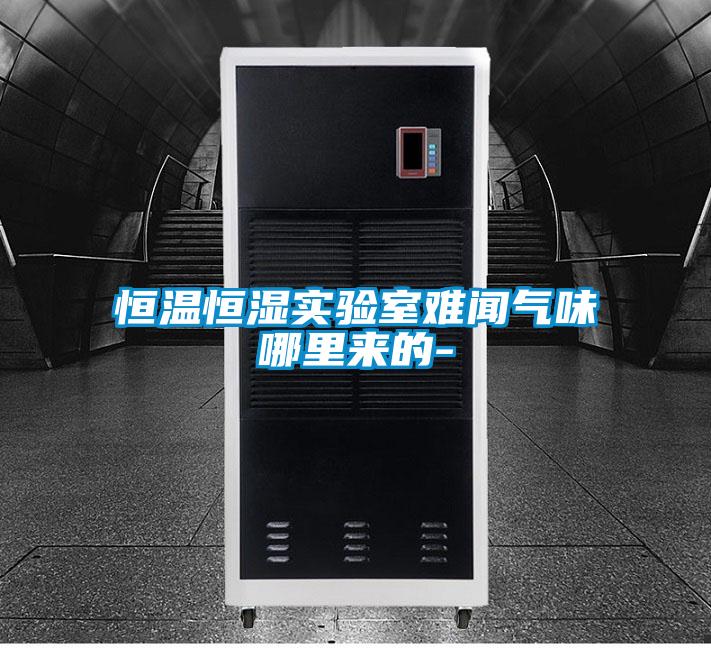 恒溫恒濕實(shí)驗室難聞氣味哪里來(lái)的-