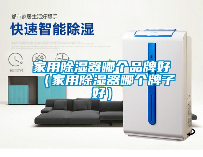 家用除濕器哪個(gè)品牌好（家用除濕器哪個(gè)牌子好）