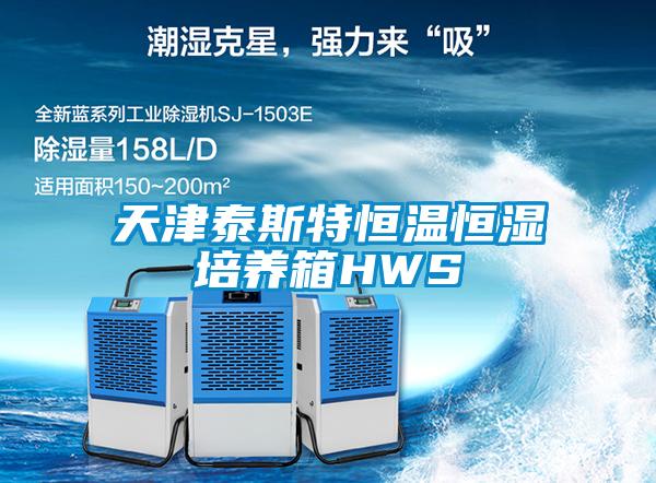 天津泰斯特恒溫恒濕培養(yǎng)箱HWS