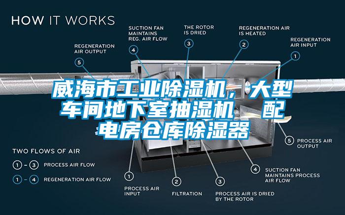 威海市工業(yè)除濕機(jī)，大型車間地下室抽濕機(jī)  配電房倉(cāng)庫(kù)除濕器