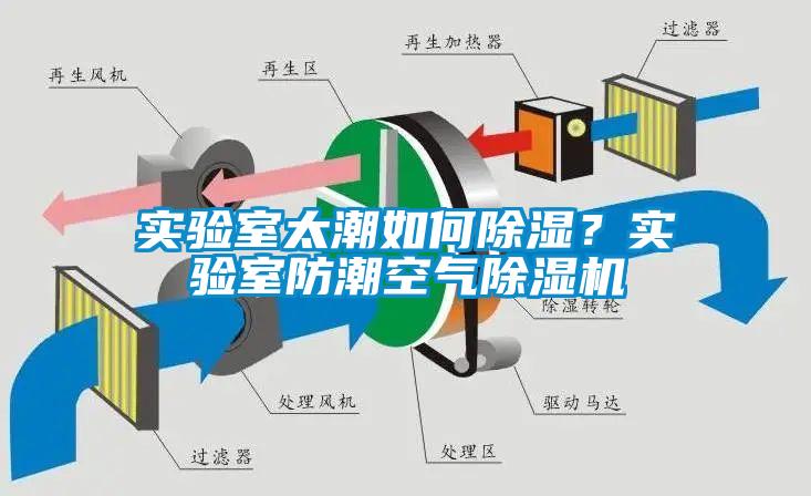 實(shí)驗室太潮如何除濕？實(shí)驗室防潮空氣除濕機