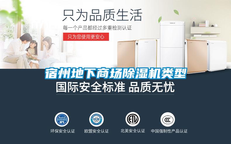 宿州地下商場除濕機(jī)類型