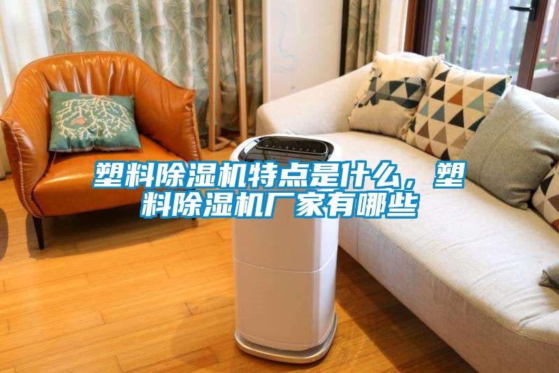 塑料除濕機特點(diǎn)是什么，塑料除濕機廠(chǎng)家有哪些