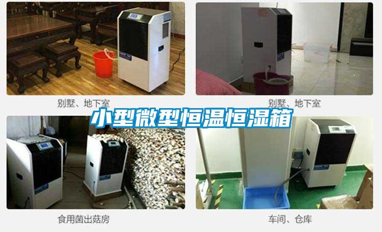 小型微型恒溫恒濕箱