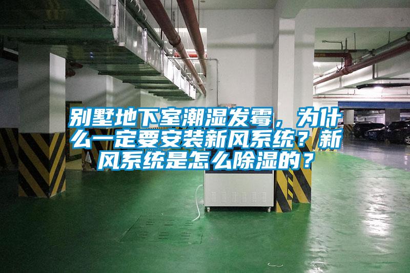別墅地下室潮濕發(fā)霉，為什么一定要安裝新風(fēng)系統？新風(fēng)系統是怎么除濕的？
