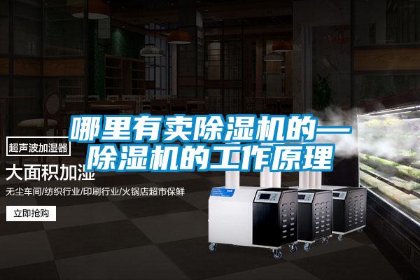哪里有賣(mài)除濕機(jī)的—除濕機(jī)的工作原理