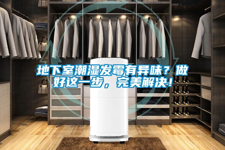 地下室潮濕發(fā)霉有異味？做好這一步，完美解決！