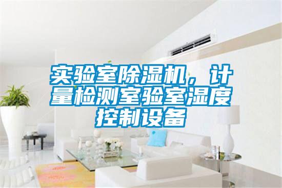 實(shí)驗(yàn)室除濕機(jī)，計(jì)量檢測室驗(yàn)室濕度控制設(shè)備