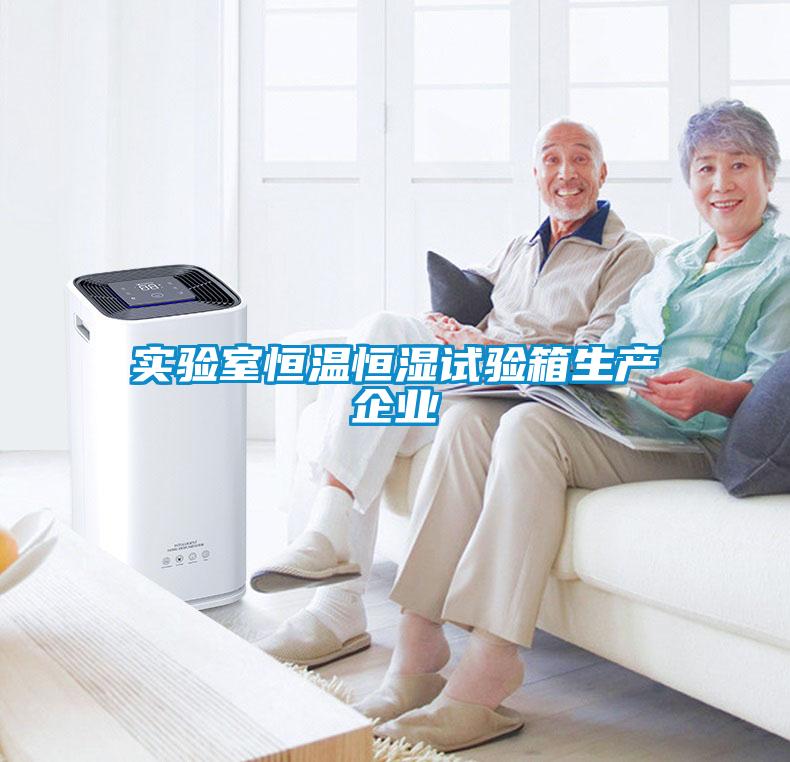 實(shí)驗室恒溫恒濕試驗箱生產(chǎn)企業(yè)