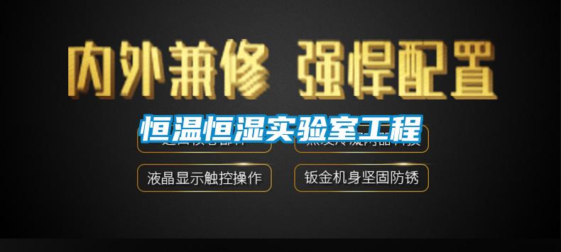 恒溫恒濕實(shí)驗室工程