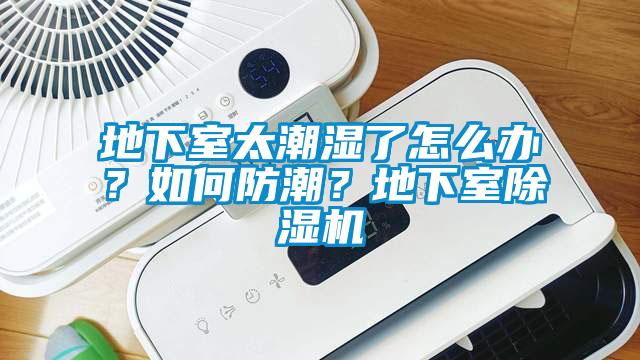 地下室太潮濕了怎么辦？如何防潮？地下室除濕機